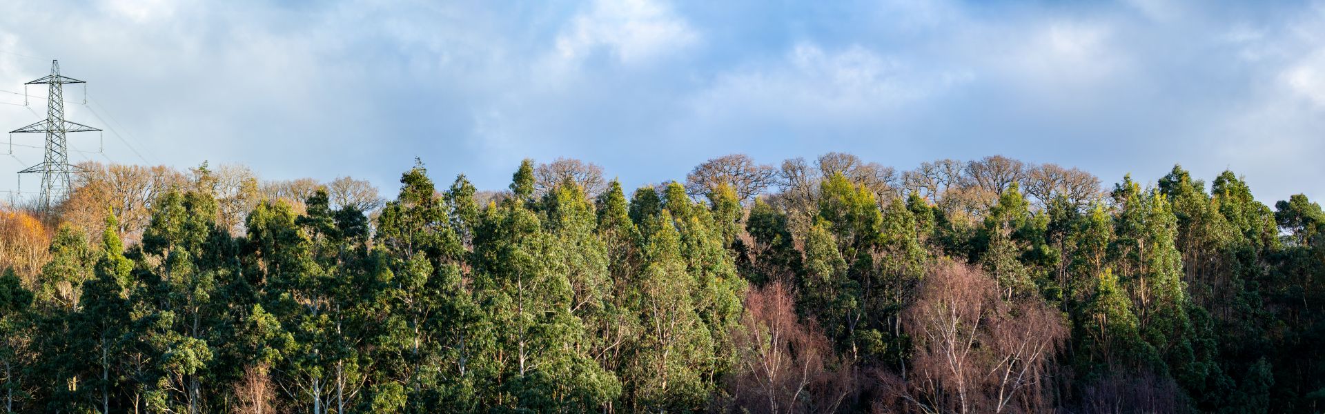 PINSON PAYSAGE